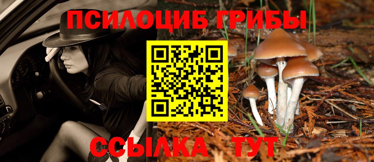 Галлюциногенные грибы Psilocybine cubensis  Галлюциногенные грибы ЛСД  Коряжма  Вход с VPN 